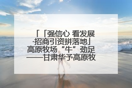 「强信心 看发展·招商引资拼落地」高原牧场“牛”劲足——甘肃华予高原牧场高标准奶牛肉牛养殖项目一线见闻
