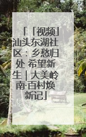 「视频」汕头东湖社区：乡愁归处 希望新生｜大美岭南·百村焕新记