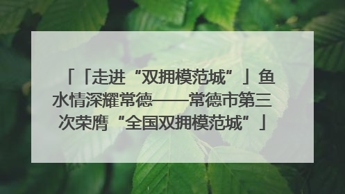 「走进“双拥模范城”」鱼水情深耀常德——常德市第三次荣膺“全国双拥模范城”