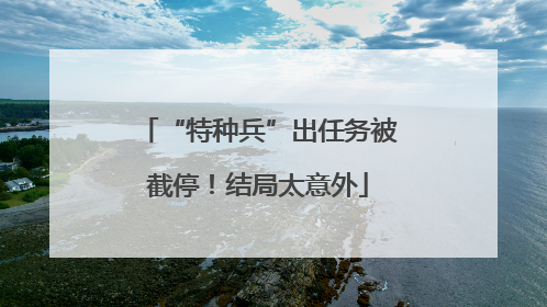 “特种兵”出任务被截停！结局太意外