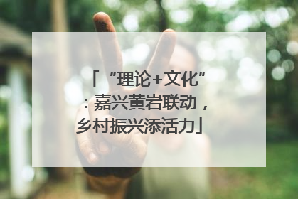 “理论+文化”：嘉兴黄岩联动，乡村振兴添活力