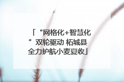 “网格化+智慧化”双轮驱动 柘城县全力护航小麦夏收
