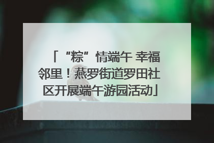 “粽”情端午 幸福邻里！燕罗街道罗田社区开展端午游园活动