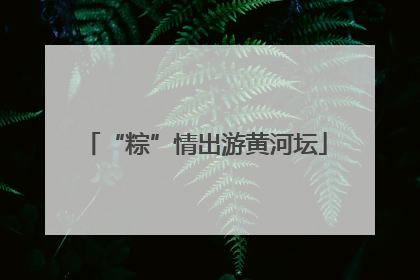 “粽”情出游黄河坛