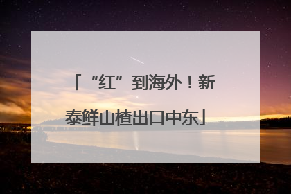 “红”到海外！新泰鲜山楂出口中东