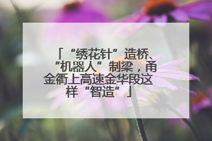 “绣花针”造桥、“机器人”制梁，甬金衢上高速金华段这样“智造”