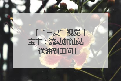 “三夏”视觉｜宝丰：流动加油站 送油到田间