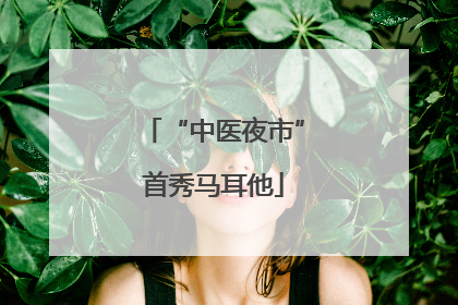 “中医夜市”首秀马耳他