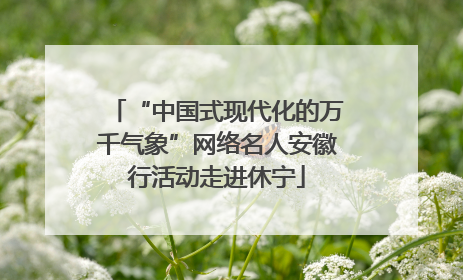 “中国式现代化的万千气象”网络名人安徽行活动走进休宁