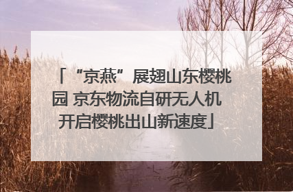 “京燕”展翅山东樱桃园 京东物流自研无人机开启樱桃出山新速度