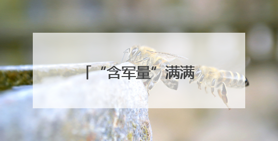 “含军量”满满！萌娃进军营，体验爱的“六一”