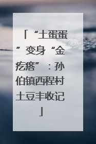 “土蛋蛋”变身“金疙瘩”：孙伯镇西程村土豆丰收记