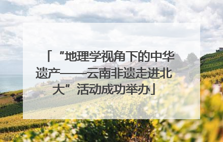 “地理学视角下的中华遗产——云南非遗走进北大”活动成功举办