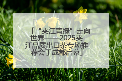 “夹江青绿”走向世界——2025夹江品质出口茶专场推荐会于成都启幕