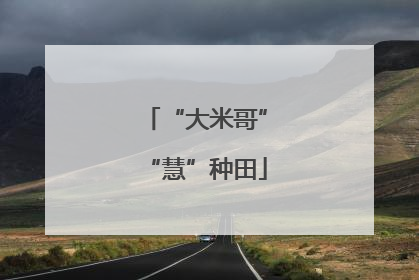 “大米哥”“慧”种田