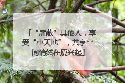 “屏蔽”其他人，享受“小天地”，共享空间悄然在厦兴起