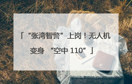 “张湾智警”上岗！无人机变身 “空中 110”