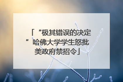 “极其错误的决定”哈佛大学学生怒批美政府禁招令