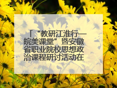 “教研江淮行—皖美课堂”暨安徽省职业院校思想政治课程研讨活动在芜湖高级职业技术学校举行