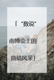 “数说”南博会上的曲靖风采