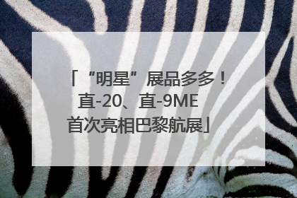“明星”展品多多！直-20、直-9ME首次亮相巴黎航展