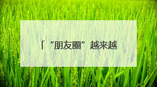 “朋友圈”越来越广 “一港通”让中国制造无缝出海