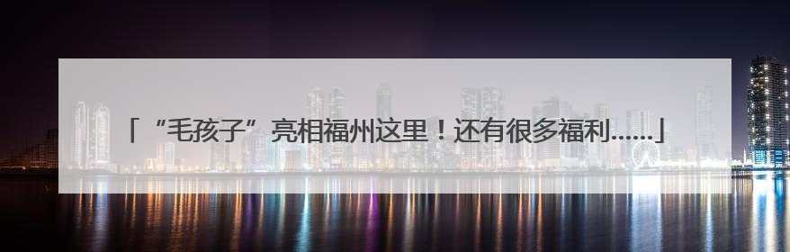 “毛孩子”亮相福州这里！还有很多福利……