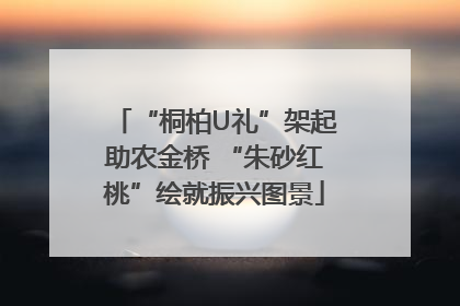“桐柏U礼”架起助农金桥 “朱砂红桃”绘就振兴图景