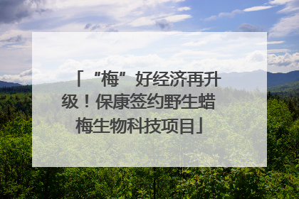 “梅”好经济再升级！保康签约野生蜡梅生物科技项目
