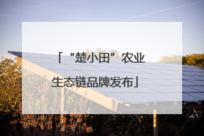 “楚小田”农业生态链品牌发布