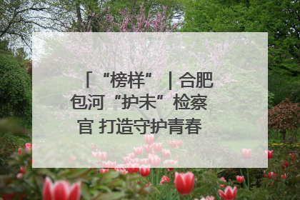 “榜样”｜合肥包河“护未”检察官 打造守护青春成长的永恒灯塔
