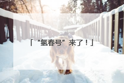 “氢春号”来了！
