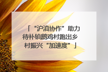“沪滇协作”助力待补镇鹧鸡村跑出乡村振兴“加速度”