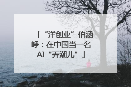 “洋创业”伯涵峥：在中国当一名AI“弄潮儿”