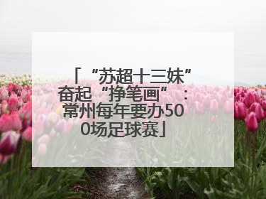“苏超十三妹”奋起“挣笔画”：常州每年要办500场足球赛