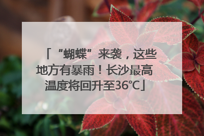 “蝴蝶”来袭，这些地方有暴雨！长沙最高温度将回升至36℃