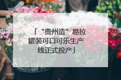 “贵州造”易拉罐装可口可乐生产线正式投产
