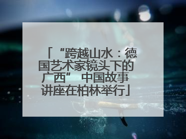“跨越山水：德国艺术家镜头下的广西” 中国故事讲座在柏林举行