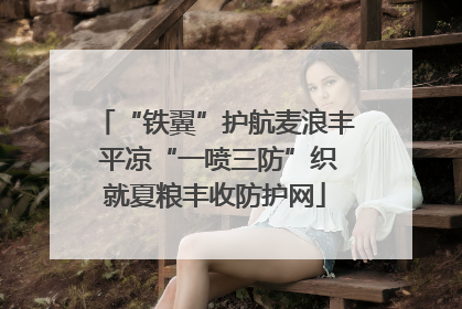 “铁翼”护航麦浪丰 平凉“一喷三防”织就夏粮丰收防护网