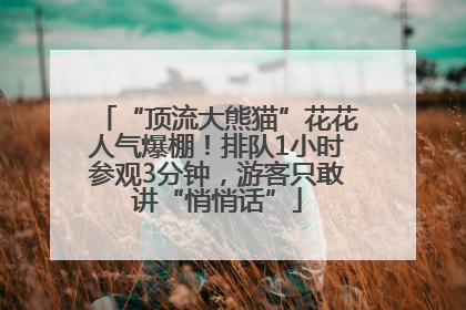 “顶流大熊猫”花花人气爆棚！排队1小时参观3分钟，游客只敢讲“悄悄话”