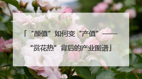 “颜值”如何变“产值”——“赏花热”背后的产业图谱