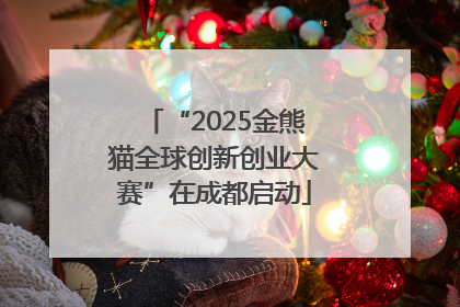 “2025金熊猫全球创新创业大赛”在成都启动