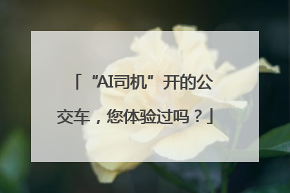 “AI司机”开的公交车，您体验过吗？