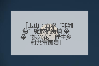 玉山：五彩“非洲菊”绽放横街镇 朵朵“振兴花”催生乡村共富图景