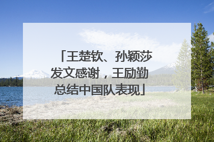 王楚钦、孙颖莎发文感谢，王励勤总结中国队表现