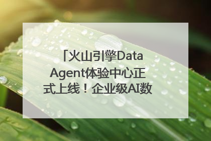 火山引擎Data Agent体验中心正式上线！企业级AI数据专家触手可及
