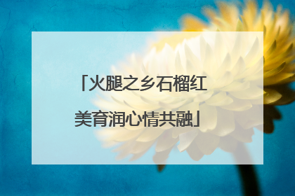 火腿之乡石榴红 美育润心情共融