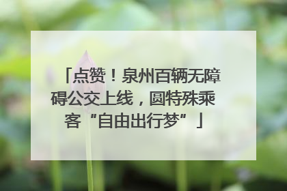 点赞！泉州百辆无障碍公交上线，圆特殊乘客“自由出行梦”