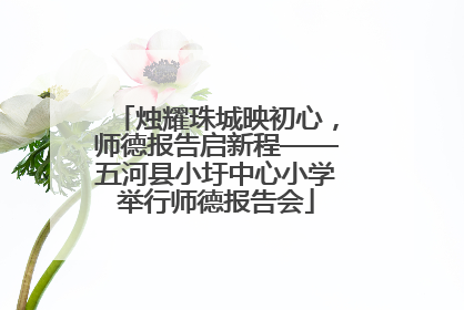 烛耀珠城映初心，师德报告启新程——五河县小圩中心小学举行师德报告会