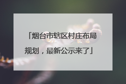 烟台市辖区村庄布局规划，最新公示来了